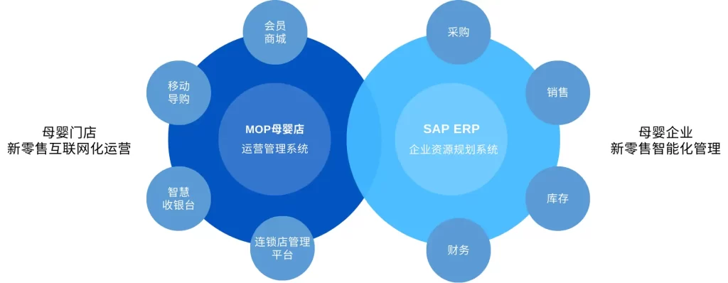 SAP母婴行业