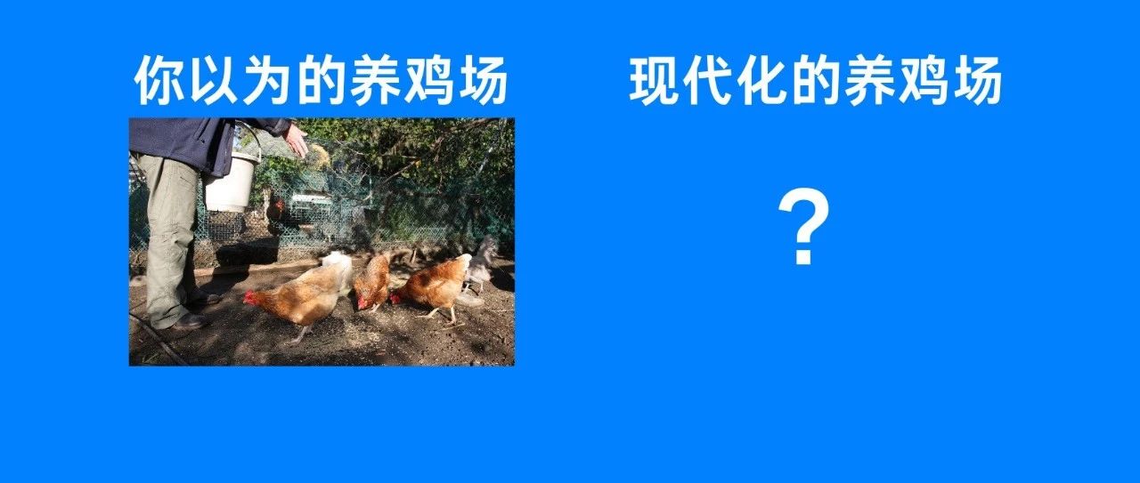 圣农SAP