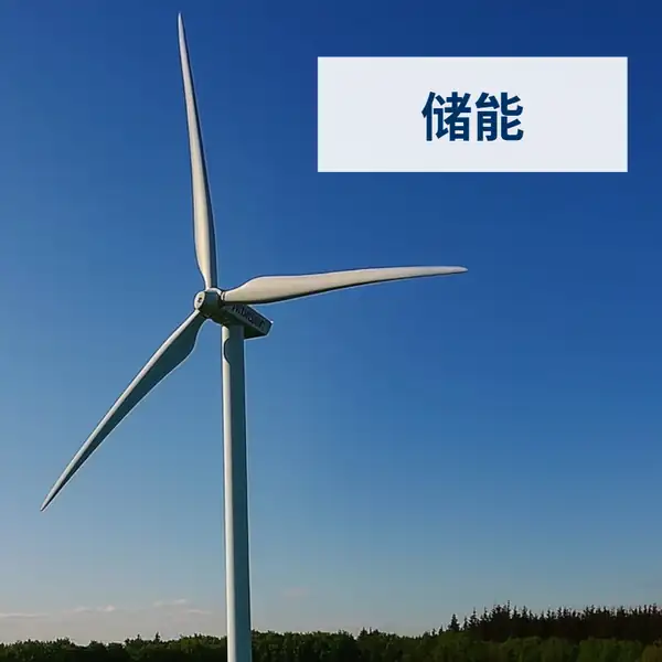 储能SAP方案