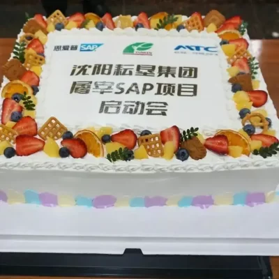 耘垦集团SAP ERP屠宰加工项目启动会-蛋糕 耘垦集团SAP ERP屠宰加工项目启动会-蛋糕